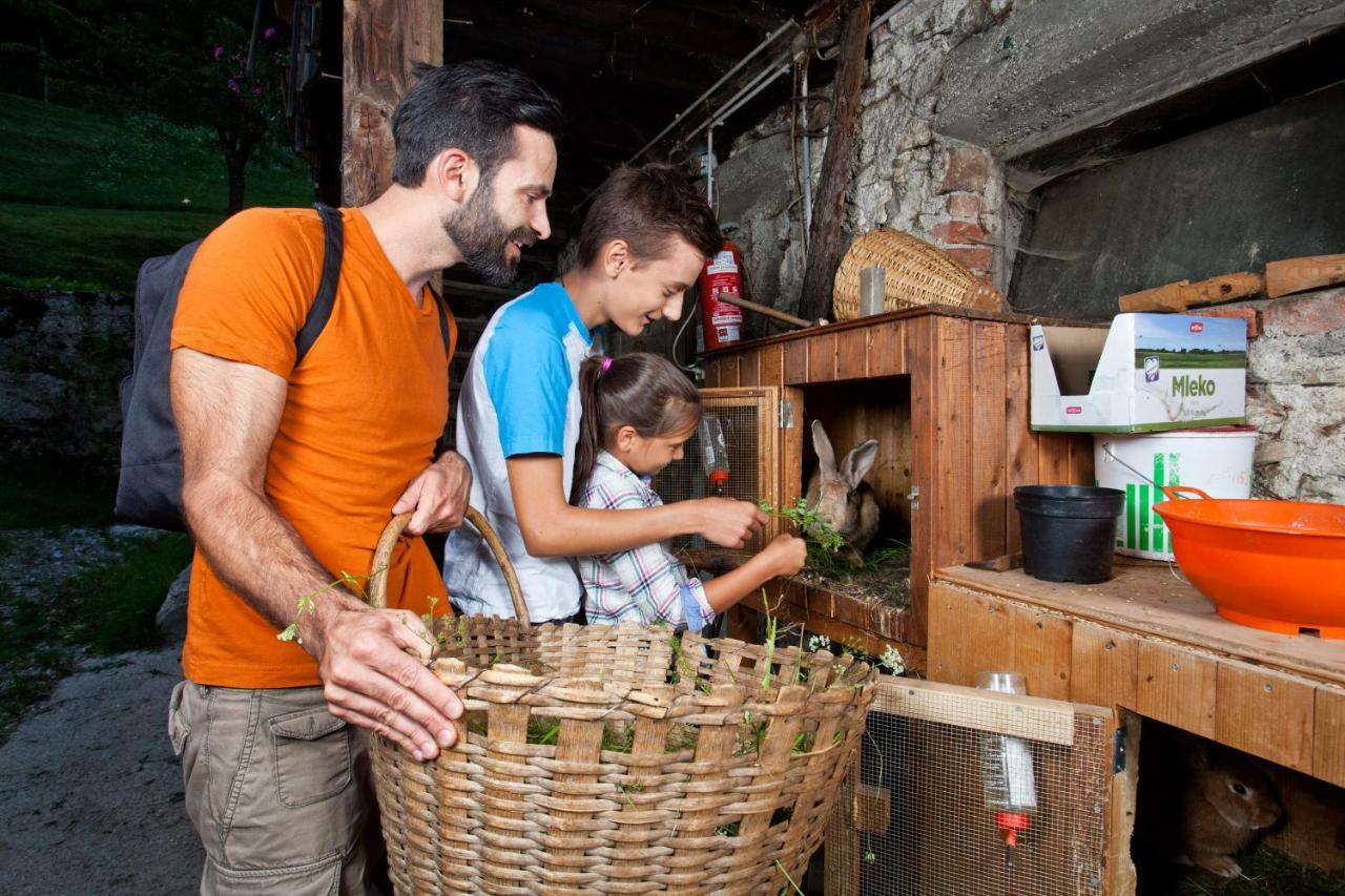 Kmetija Matk Villa Solčava Eksteriør billede